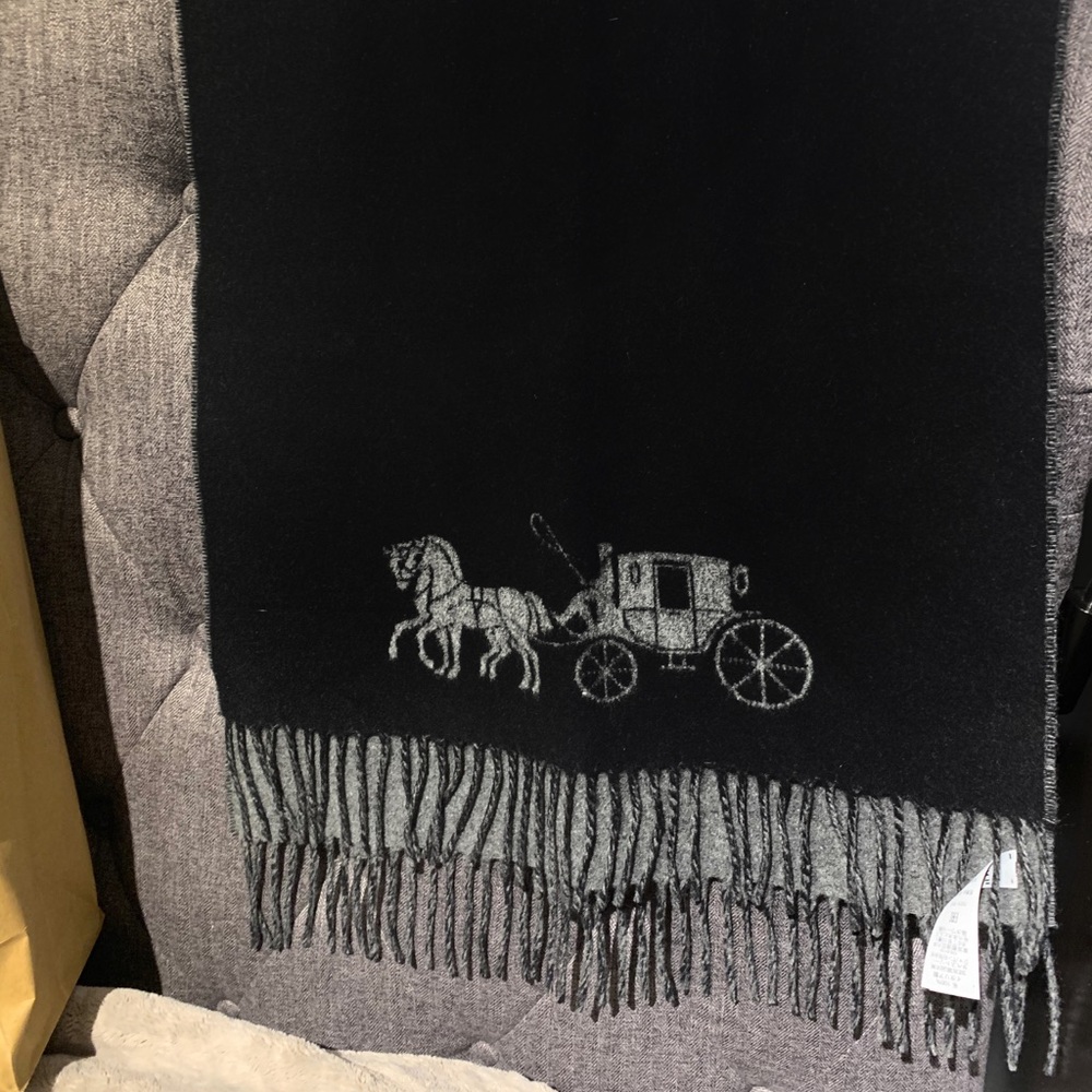 NWT Coach Scarf looks like Hermes - Picture 2 of 6